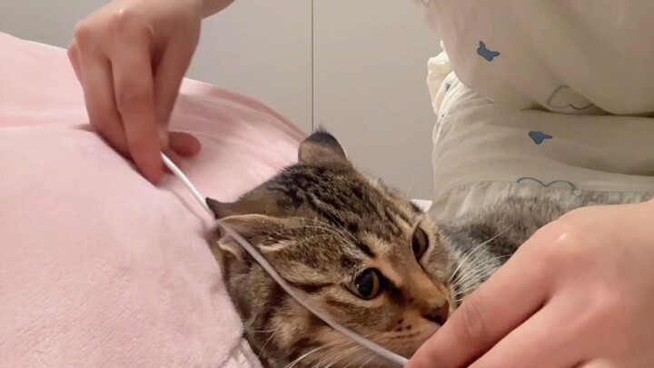 Uncle Zhang, will I be able to get discharged before the New Year, big niece?