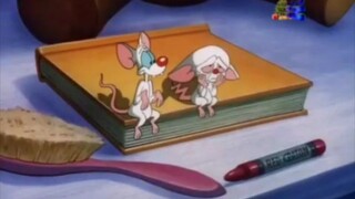 Pinky, Elvira y Cerebro Episodio 1