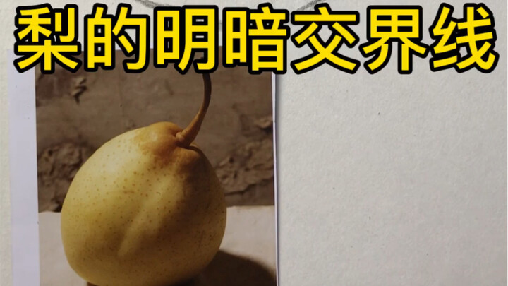 【วาดภาพหุ่นนิ่งด้วยดินสอ】เส้นแบ่งแสงเงาของลูกแพร์