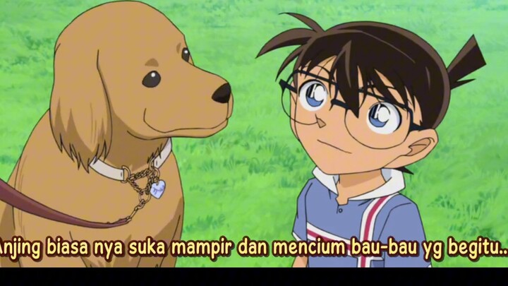 Kemenangan Besar, Anjing Coeur Bagian
