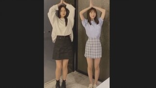 【SO菲】这啥玩意儿