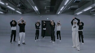 【Stray Kids】FREEZE练习室 但是灿房音响版 ||音频替换||脚步声保留