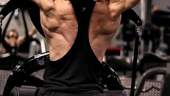the best workout for back and on how to process your back