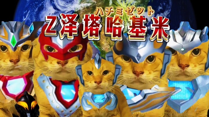 ⚡Z Zeta Hakimi 🐱Hachimi Zeta