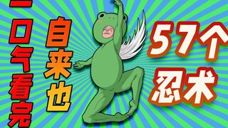 Apa itu Katak Abadi? Baca 57 Ninjutsu Jiraiya sekaligus