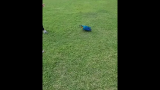 มาชิตะ แปลว่าอร่อย มาหาหน่อย แปลว่าอ่อยนะจ๊ะ