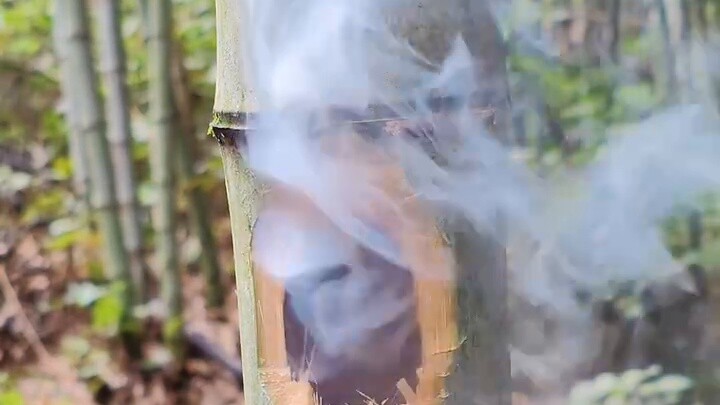 "Petasan Sejati"