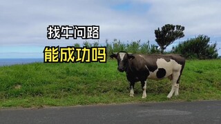 Những loài động vật gặp phải con người!