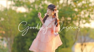 【定点ver.】Goodbye Cosmos/再见,波斯菊