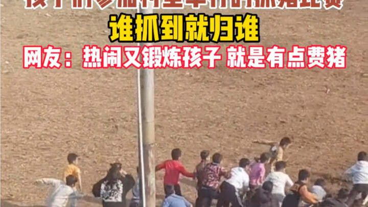 في البداية، لم يدرك الخنزير خطورة المشكلة! #مسابقة_صيد_الخنازير