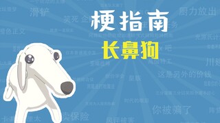 What is the long-nosed dog meme? [Meme Guide]