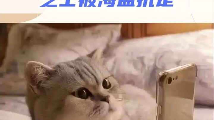 ชีสเสียงแบบนี้ออกมาจากคอได้ยังไงนะ?