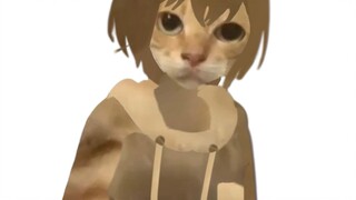 猫松灯