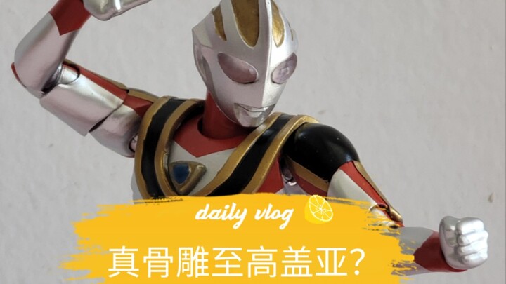 shf真骨雕强力改shf至高盖亚