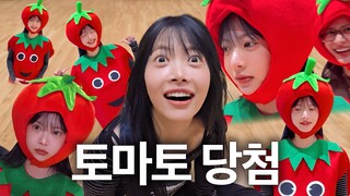 لا، لماذا أنا طماطم...