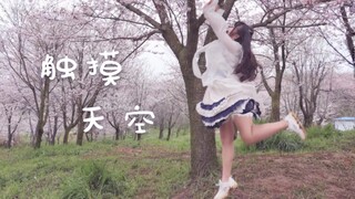 【Xingming】Sentuh langit ☁2019BDF—Jangan lihat bunganya, lihat aku♪