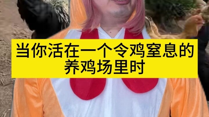 When you're living in a chicken farm so cramped it suffocates the chickens (flying)