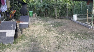 Grey blues VS SBR