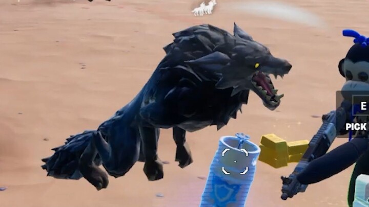 Who Let The Wolves Out