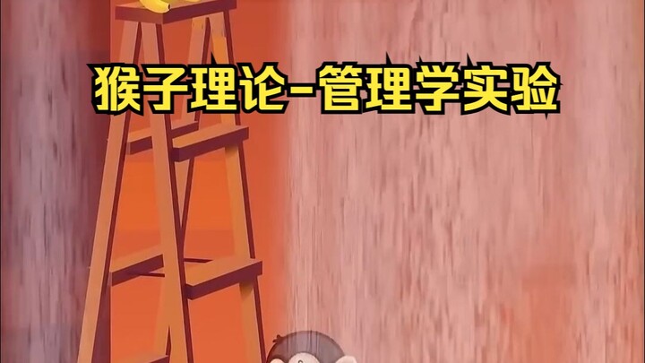 Tập 110丨“Lý thuyết con khỉ – Thí nghiệm quản trị học”