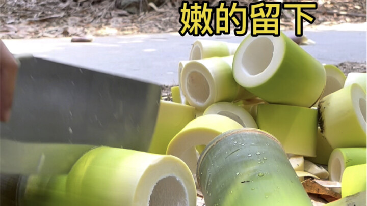 Yang muda disisakan biar lebih jelas—saatnya nikmati hidangan lengkap dari rebung di malam Yuanxiao!