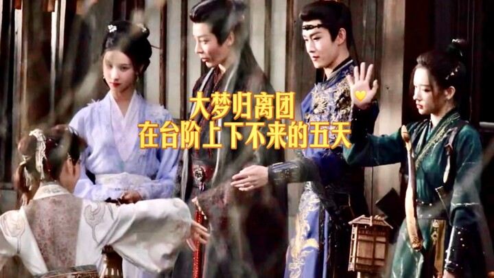 大梦归离团开端局/台阶上站了五天在干嘛？