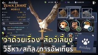 Black Desert Mobile | EP#4 ว่าด้วยเรื่องของ "สัตว์เลี้ยง" - ทำอะไรได้/วิธีหา/สกิล/การอัพเทียร์