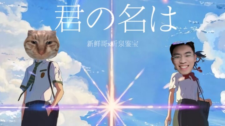 《君の名は》我的猫咪会鉴宝  听泉&新鲜哥的绝世虐恋