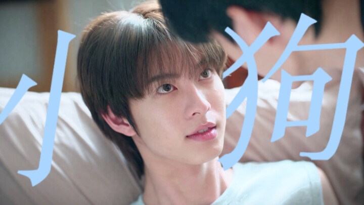 A new drama has premiered! It’s got that authentic “green tea puppy” vibe—whining and pitiful every 