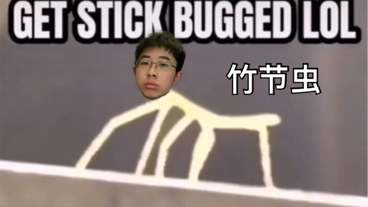 Who could say no to an ultra-cool, dancing stick insect?