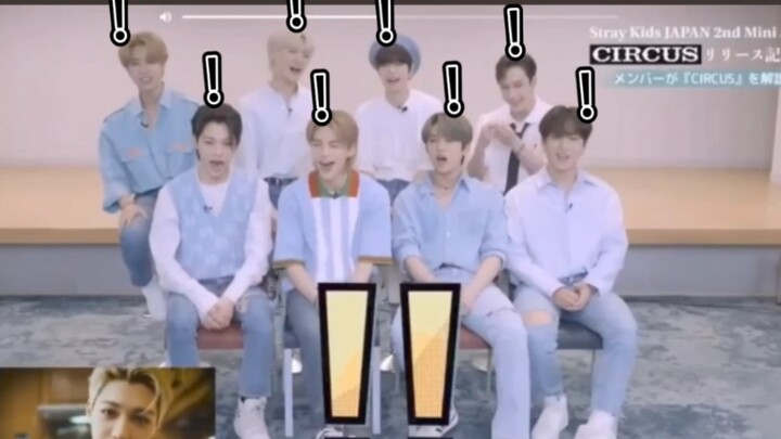 เมื่อหม่าหลินดูพาร์ตของเฟยเฟยเป็นครั้งที่สอง (แอบดูเหตุการณ์สังคมล่มของเหล่าแมวเหมียว)