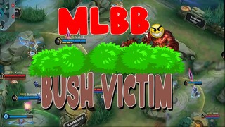 MLBB BUSH VICTIMS