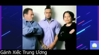Hổ báo cáo chồn ngoài đường, về nhà phải ngoan #funny