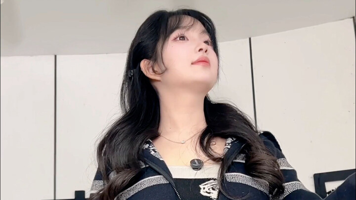 Dog capitalist, one year old—one year old—one-one year old!