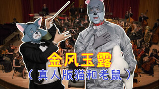 真人版猫和老鼠｜Tom&Spike音乐厅演绎《金风玉露》