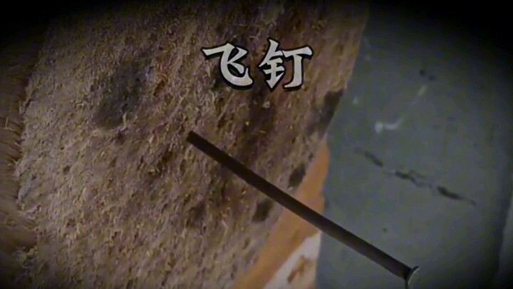 أُعلِّمُكَ كيف تتحول إلى نينازاكي نوشيبي