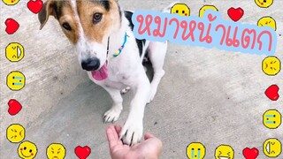 โลกของแสนดี ตอน ถึงกับเหวอ!!