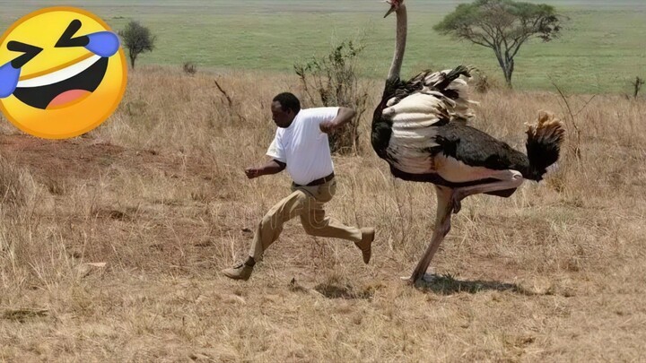 Best Funniest Moments of all time 😂 (memes,pranks, funny compilation?