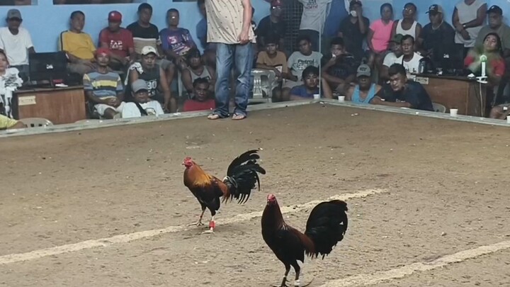 SBR BANAHAW LINE last fight wala sugat WIN 3 stag