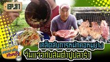 เคล็ดลับการหมักคอหมูย่าง จิ้มแจ่วกับส้มตำปูปลาร้า - [ คนฟาร์มทำครัว ] EP.31