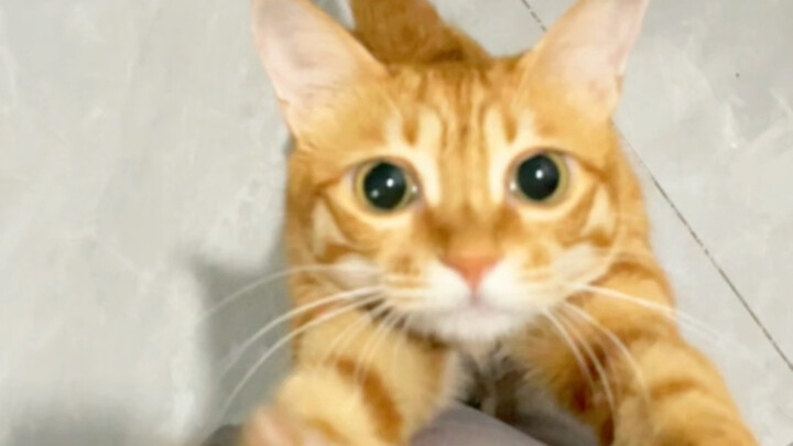 Hantu! Baru sekarang kamu pulang?