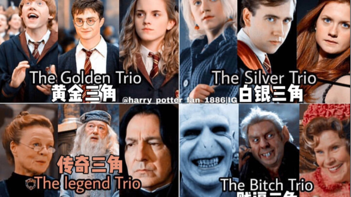 [Harry Potter] Memes that only Harry Potter fans can understand (Part 24)