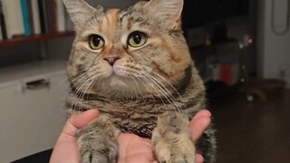 إذا حدقنا في عين بعضنا لفترة طويلة، سنشعر برغبة في الإمساك بأيدينا.