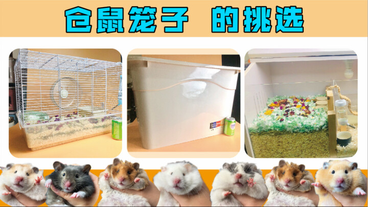 How to Pick the Perfect Hamster Cage? No More Worries About Choosing a Home for Your Pet! A Super-De