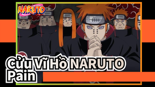 Cửu Vĩ Hồ NARUTO|[Cảnh hoành tráng Tổng hợp]Pain