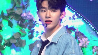 ZB1章昊In Bloom竖屏直拍