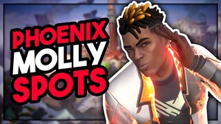 PHOENIX POST PLANT MOLLY SPOTS (All Maps)