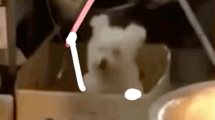 Just because it’s Macau’s fireworks doesn’t mean we in Zhuhai aren’t allowed to watch, right?