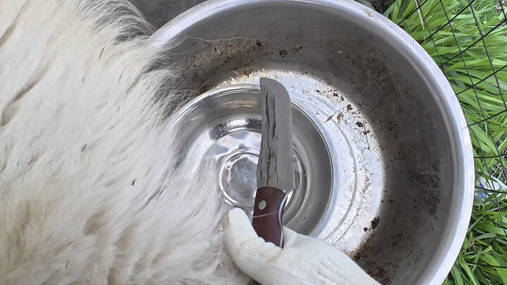 Jiangyin Yuecheng Whole Roasted Lamb (1 piece)