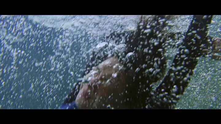 The Shallows